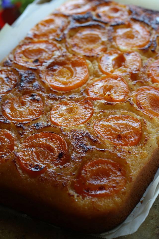 Olive Oil Cake