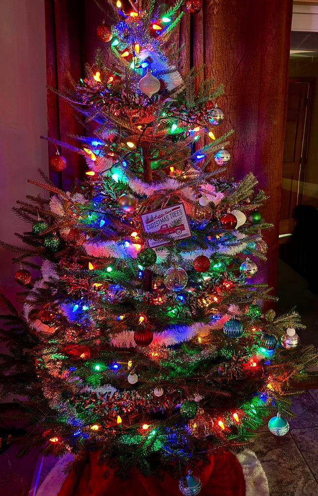 Celeste Oliva Holiday Hours Dec 11 - January 1 &  Windy Days (8 N Main St, Concord NH upstairs)